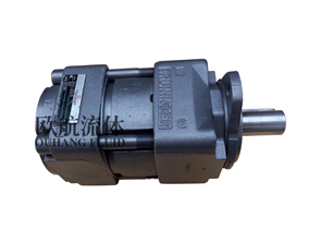 布赫齿轮泵QX43-025/R